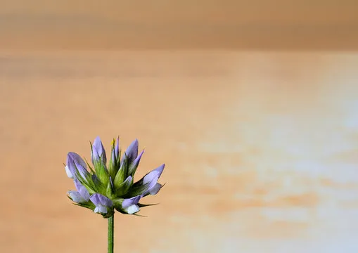 福彩3d开奖号码走势图